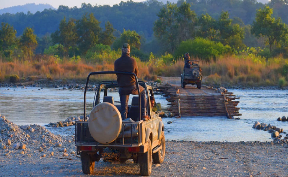 The Real Safari Experience